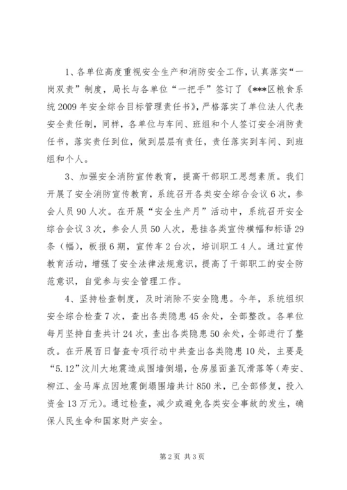 粮食局安全生产工作总结及工作计划计划.docx