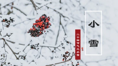 小雪寒冬通用PPT模板