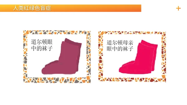 基因学伴性遗传初高中生物PPT课件