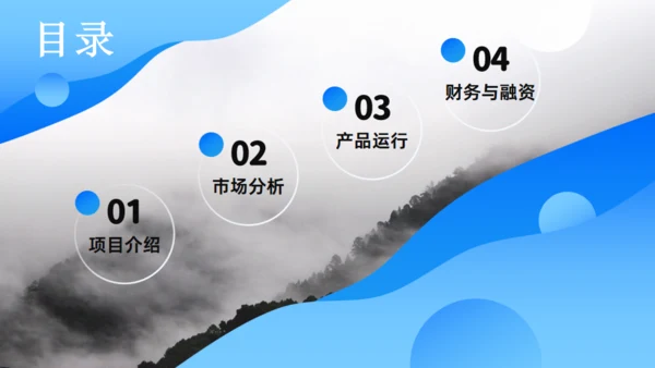 流体渐变蓝色项目商业计划书通用PPT模板