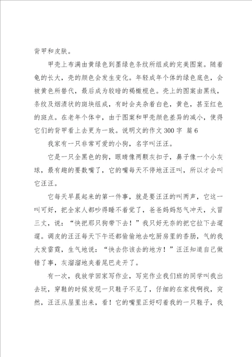 说明文的作文300字集合7篇