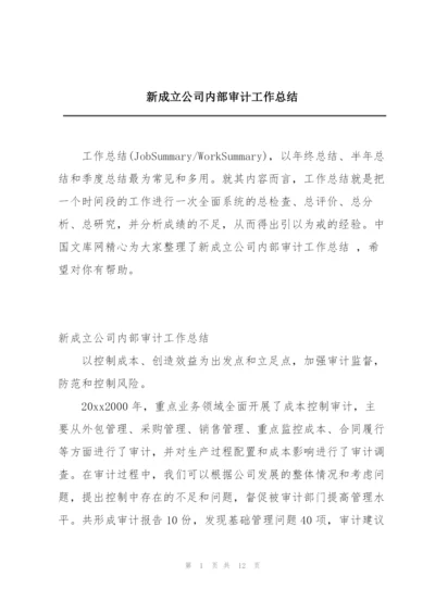 新成立公司内部审计工作总结.docx