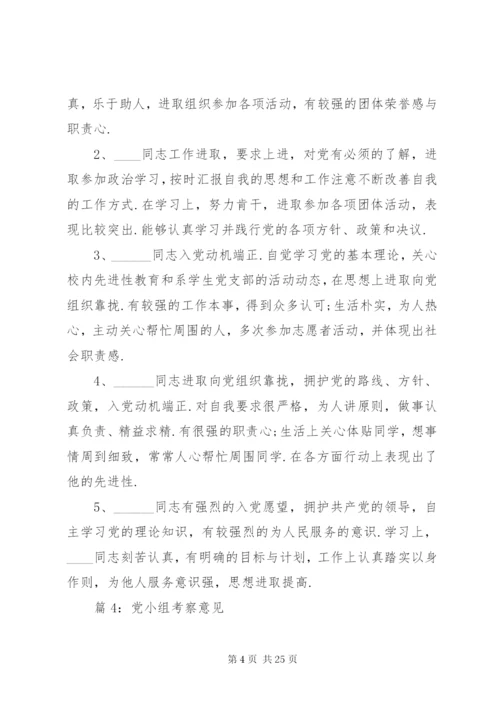 党小组考察意见优选25篇.docx