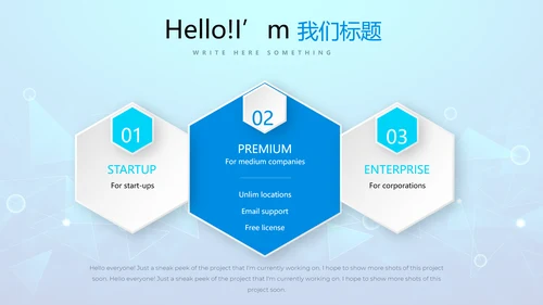 蓝色互联网项目商业计划书商务风通用PPT动态模板