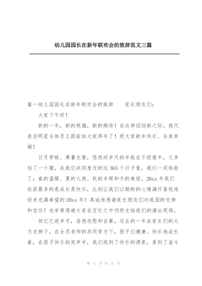 幼儿园园长在新年联欢会的致辞范文三篇.docx