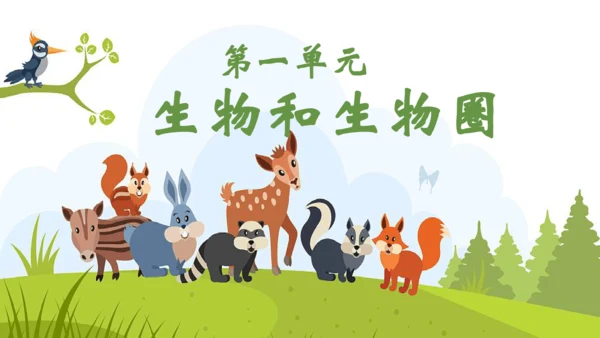 七上第一单元 生物和生物圈复习课件(共26张PPT)