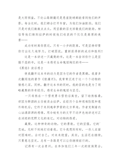 《黑焰》读后感.docx