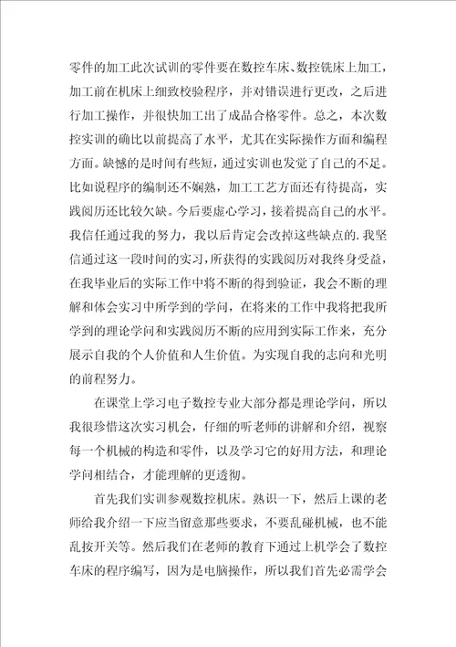 顶岗实习自我鉴定100字 大学生顶岗实习自我鉴定三篇