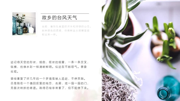 清醒纪植物绘小清新文艺女青年通用PPT模板