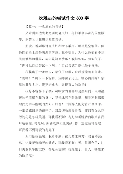 一次难忘的尝试作文600字.docx