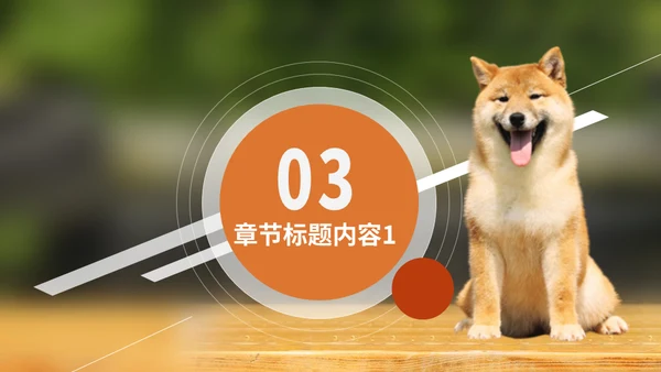 宠物乐园萌宠狗狗主题通用PPT模板