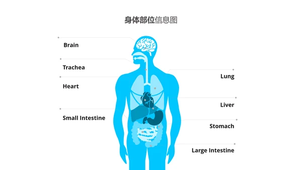 框架完整医学报告医院宣传医疗PPT模板