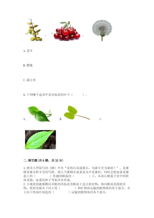 科学四年级下册第一单元《植物的生长变化》测试卷往年题考.docx