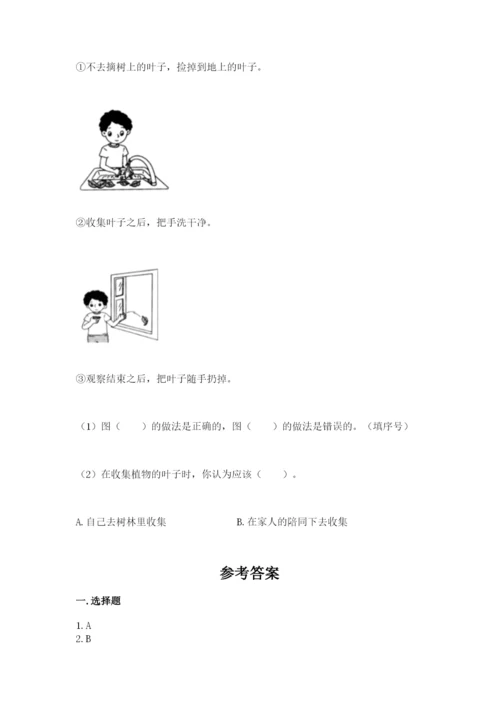 教科版一年级上册科学期末测试卷（突破训练）.docx