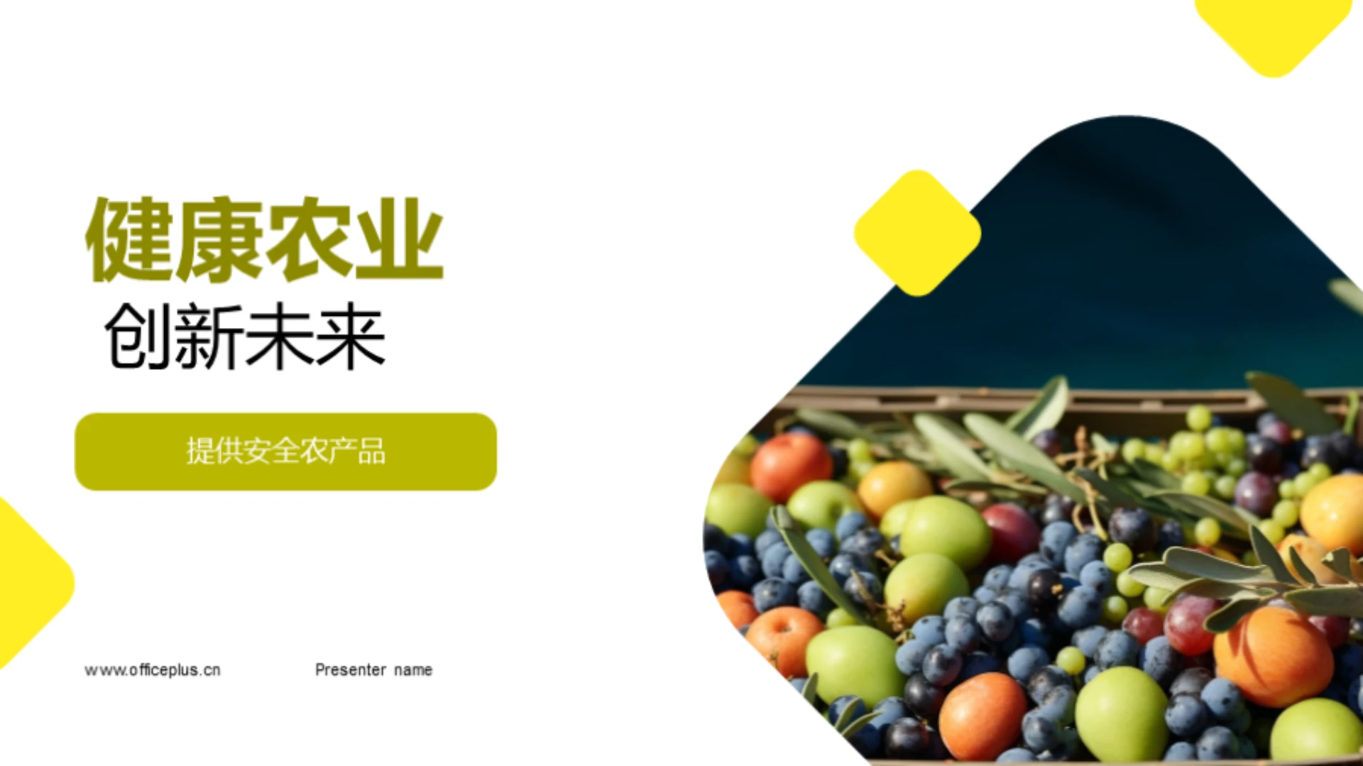 健康农业 创新未来