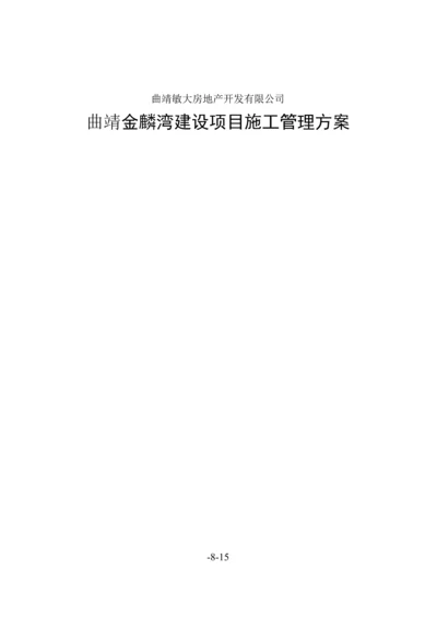 建设专项项目综合施工管理专题方案.docx