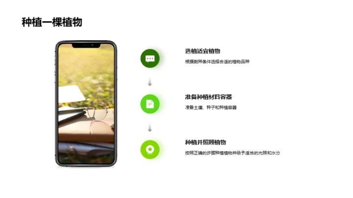 探索植物的奥秘