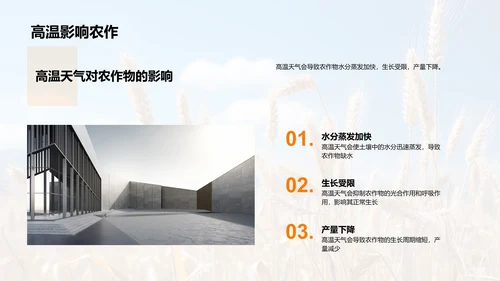 夏至农业气候指导