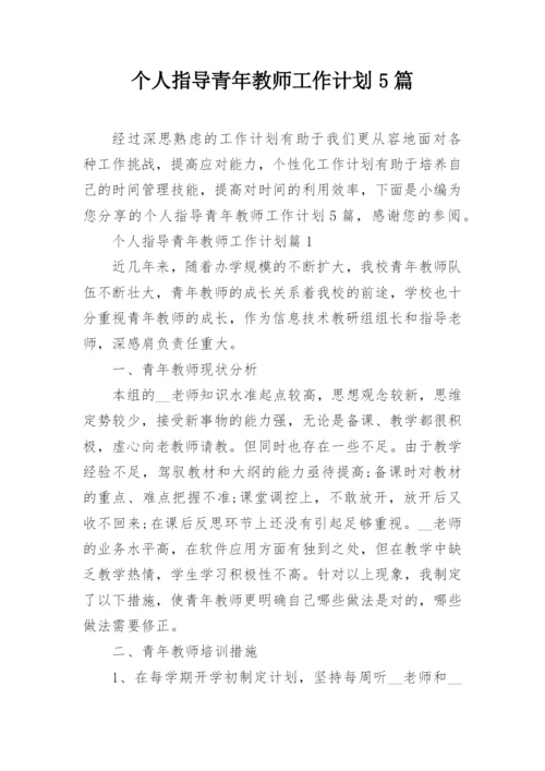 个人指导青年教师工作计划5篇.docx