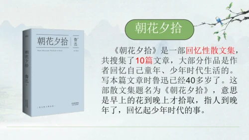 9《从百草园到三味书屋》课件(共33张PPT)2024-2025学年统编版语文七年级上册