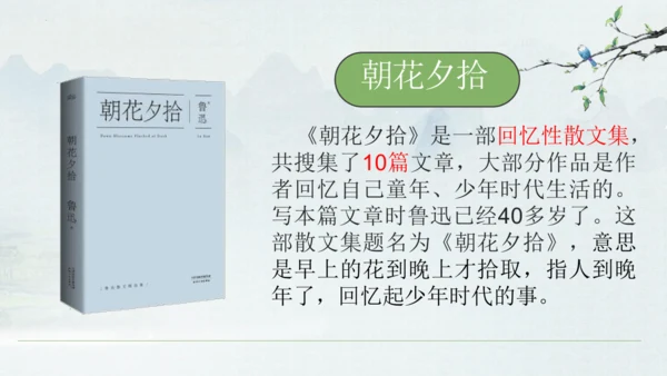 9《从百草园到三味书屋》课件(共33张PPT)2024-2025学年统编版语文七年级上册