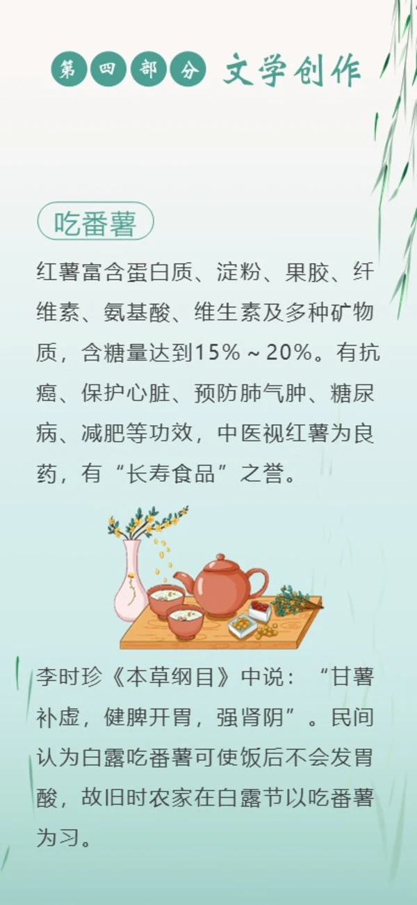 白露节气二十四节气知识手机竖版PPT课件