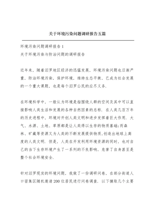 关于环境污染问题调研报告五篇.docx