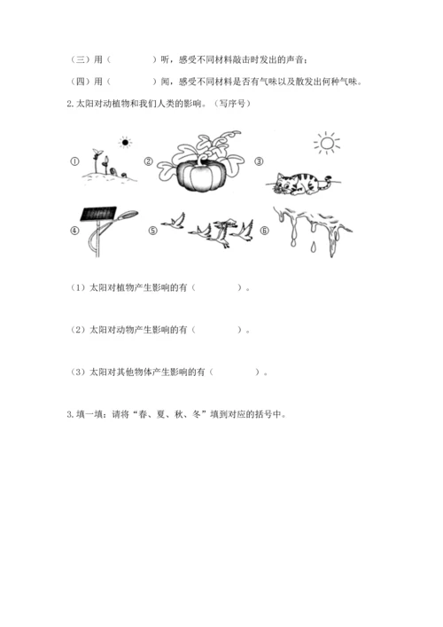 教科版二年级上册科学期末测试卷附完整答案【精选题】.docx