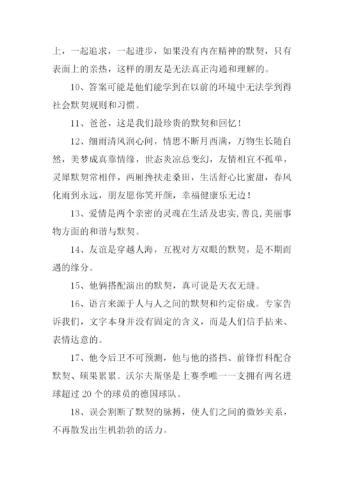 默契的近义词.docx