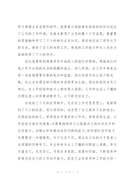 销售员转正工作个人总结范文.docx