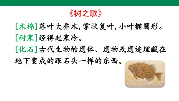 部编版语文二年级上册第二单元复习课件