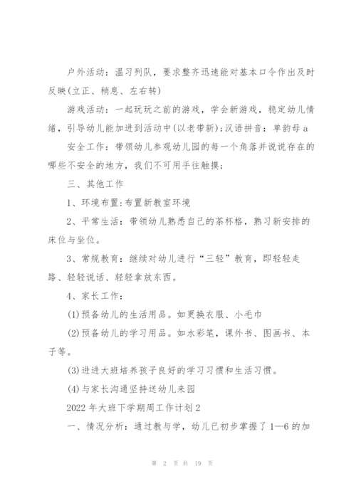2022年大班下学期周工作计划10篇.docx