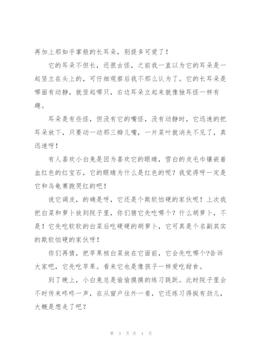 描写小动物的外形.docx