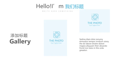 药店执业药师自查报告动态PPT