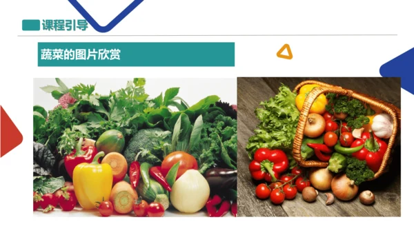 各式各样的蔬菜
