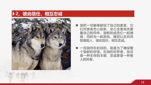 狼性文化企业培训PPT模板