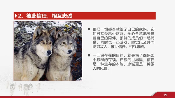狼性文化企业培训PPT模板