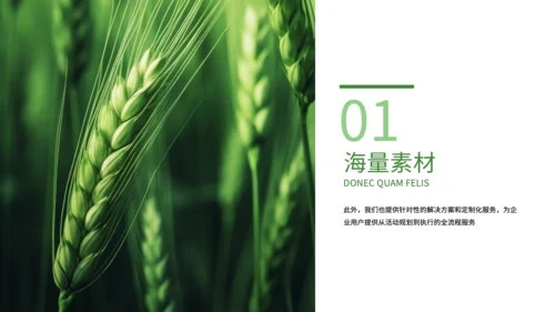 绿色简约风现代农业发展PPT