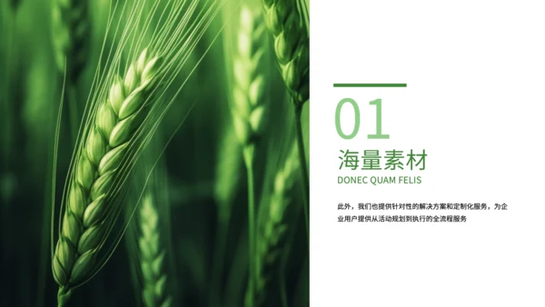 绿色简约风现代农业发展PPT