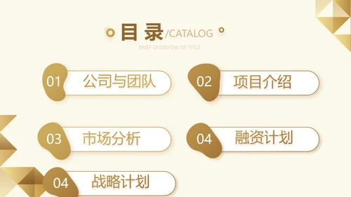 尊贵大气创业融资计划书动态PPT