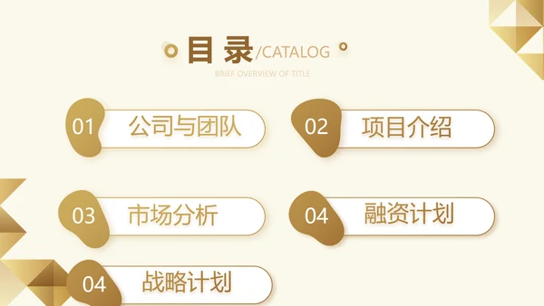 尊贵大气创业融资计划书动态PPT