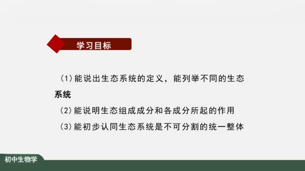 1.2.2 生物与环境组成生态系统 课件（共30张PPT）