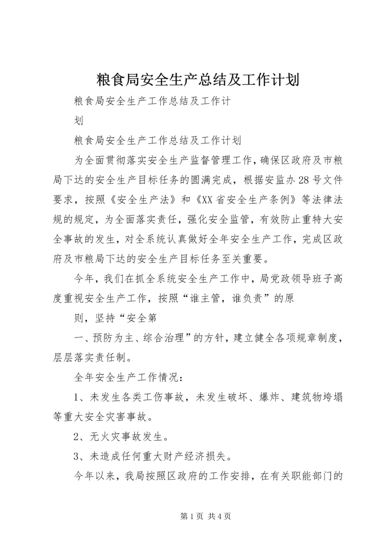 粮食局安全生产总结及工作计划 (3).docx