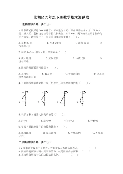 北湖区六年级下册数学期末测试卷及答案一套.docx