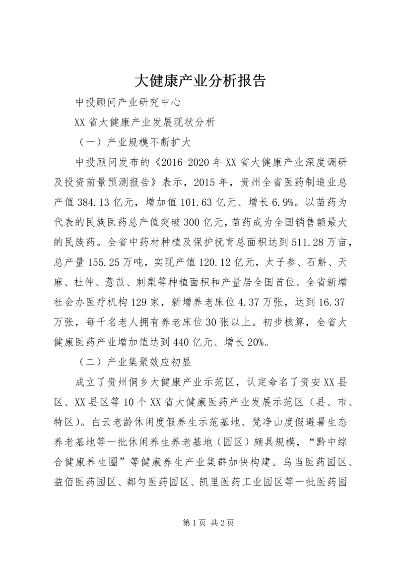 大健康产业分析报告 (2).docx