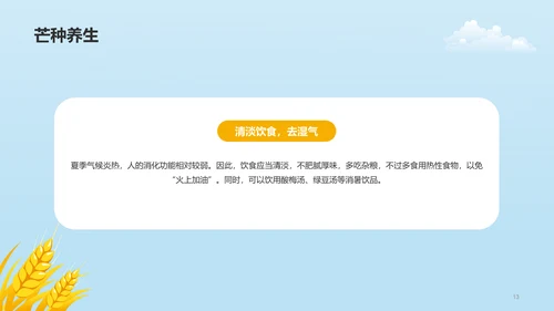 黄色插画二十四节气芒种科普介绍PPT模板