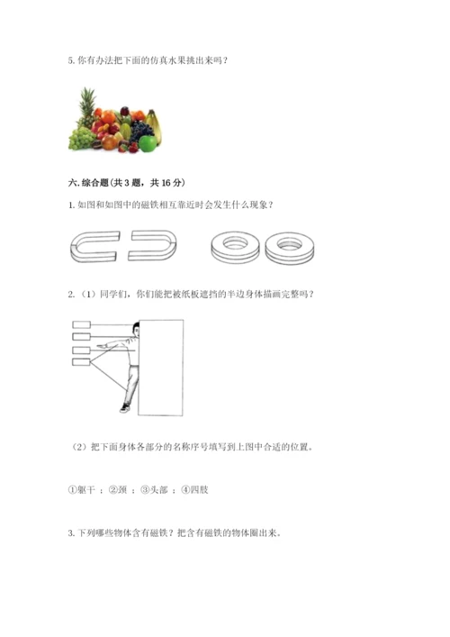 教科版小学科学二年级下册 期末测试卷附参考答案【考试直接用】.docx