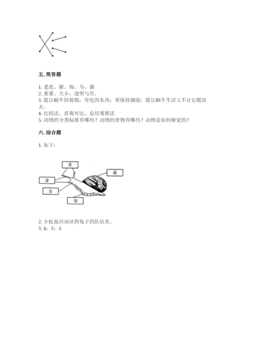 教科版一年级下册科学期末测试卷【全国通用】.docx