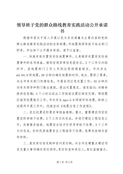 领导班子党的群众路线教育实践活动公开承诺书.docx