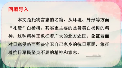 15《白杨礼赞》课件